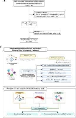 Plasma proteomics and carotid intima-media thickness in the UK biobank cohort